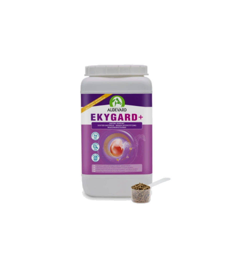 Audevard Ekygard + 4 Audevard Ekygard + - Afbeelding 2