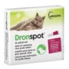 Vetoquinol Dronspot Grote Kat 96 Mg / 24 Mg - 5 T/m 8 Kg - 2 Pipetten -Dierenwinkel dronspot grote kat 96 mg 24 mg 5 tm 8 kg 2 pipetten