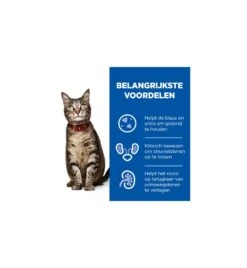 Hill's PD C/D Multicare Urinary Care Stoofpotje Met Kip & Groente - 24 X 82 Gram -Dierenwinkel hill s pd cd multicare urinary care stoofpotje met kip groente 24 x 82 gram 3