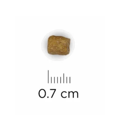 Hill's Prescription Diet L/D Liver Care - 1.5 Kg -Dierenwinkel hill s prescription diet ld liver care 15 kg 1