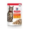 Hill's Science Plan Adult Maaltijdzakjes Met Kip - 12 X 85 Gram 1 Hill's Science Plan Adult Maaltijdzakjes Met Kip - 12 X 85 Gram -Dierenwinkel hill s science plan adult maaltijdzakjes met kip 12 x 85 gram