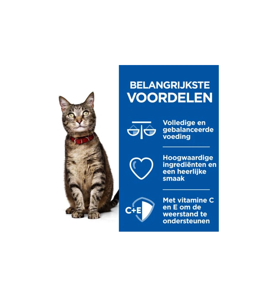 Hill's Science Plan Healthy Cuisine Volwassen Kat Stoofpotje Kip & Zalm - 4 X 12 X 80 Gram 4 Hill's Science Plan Healthy Cuisine Volwassen Kat Stoofpotje Kip & Zalm - 4 X 12 X 80 Gram - Afbeelding 2