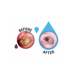 MalaZinc Ear Drops - 120 Ml 5 MalaZinc Ear Drops - 120 Ml -Dierenwinkel malazinc ear drops 120 ml 1