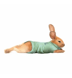 Medical Pet Shirt (Konijn) -Dierenwinkel medical pet shirt konijn groen 1