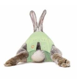 Medical Pet Shirt (Konijn) -Dierenwinkel medical pet shirt konijn groen 2