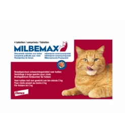 Milbemax Grote Kat -Dierenwinkel milbemax grote kat 1