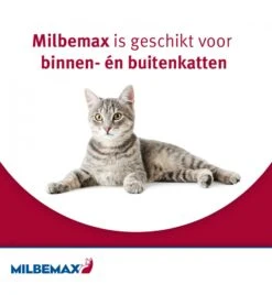 Milbemax Grote Kat -Dierenwinkel milbemax grote kat 3