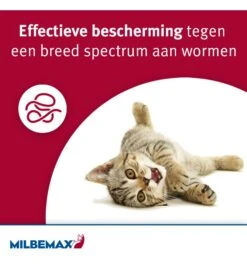 Milbemax Kleine Kat / Kitten 8 Milbemax Kleine Kat / Kitten -Dierenwinkel milbemax kleine kat kitten 1