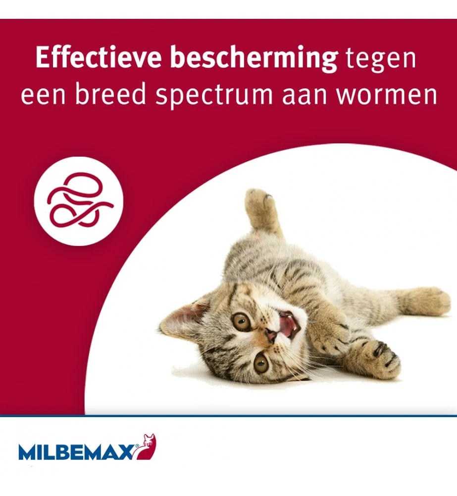 Milbemax Kleine Kat / Kitten 5 Milbemax Kleine Kat / Kitten - Afbeelding 3