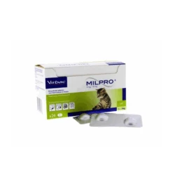 Milpro Kitten / Kleine Kat - 24 Tabletten -Dierenwinkel milpro kitten kleine kat 24 tabletten 1