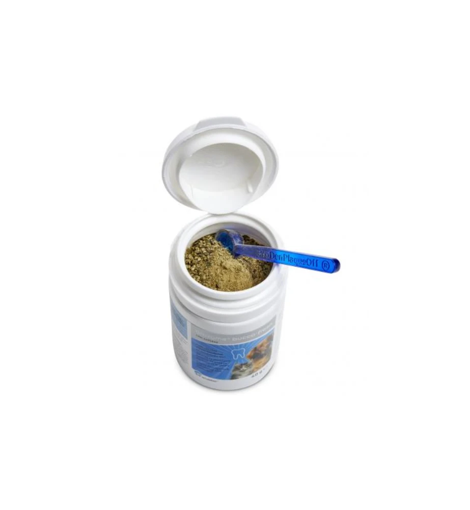 Orozyme Bucco-Fresh Poeder 4 Orozyme Bucco-Fresh Poeder - Afbeelding 2