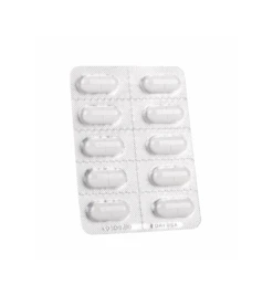 Panacur KH 500 - 10 Tabletten -Dierenwinkel panacur kh 500 500 mg 10 tabletten 1