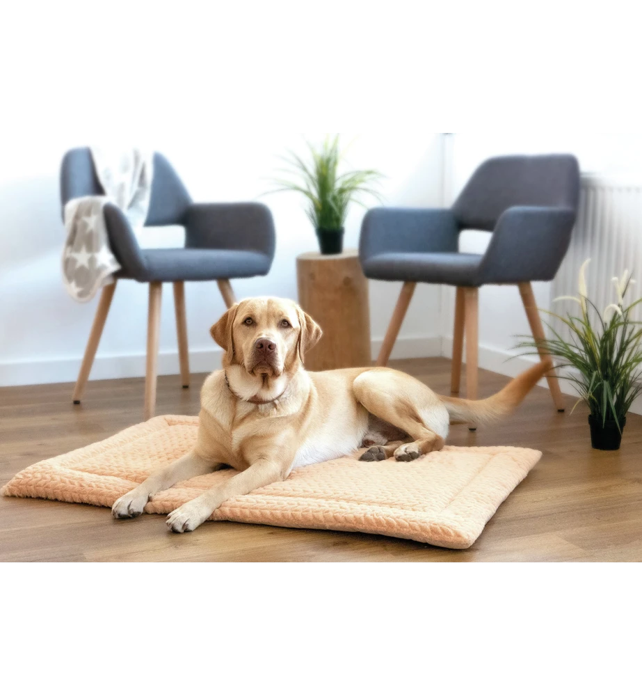 Petlando Deken Daisy Beige 4 Petlando Deken Daisy Beige - Afbeelding 2