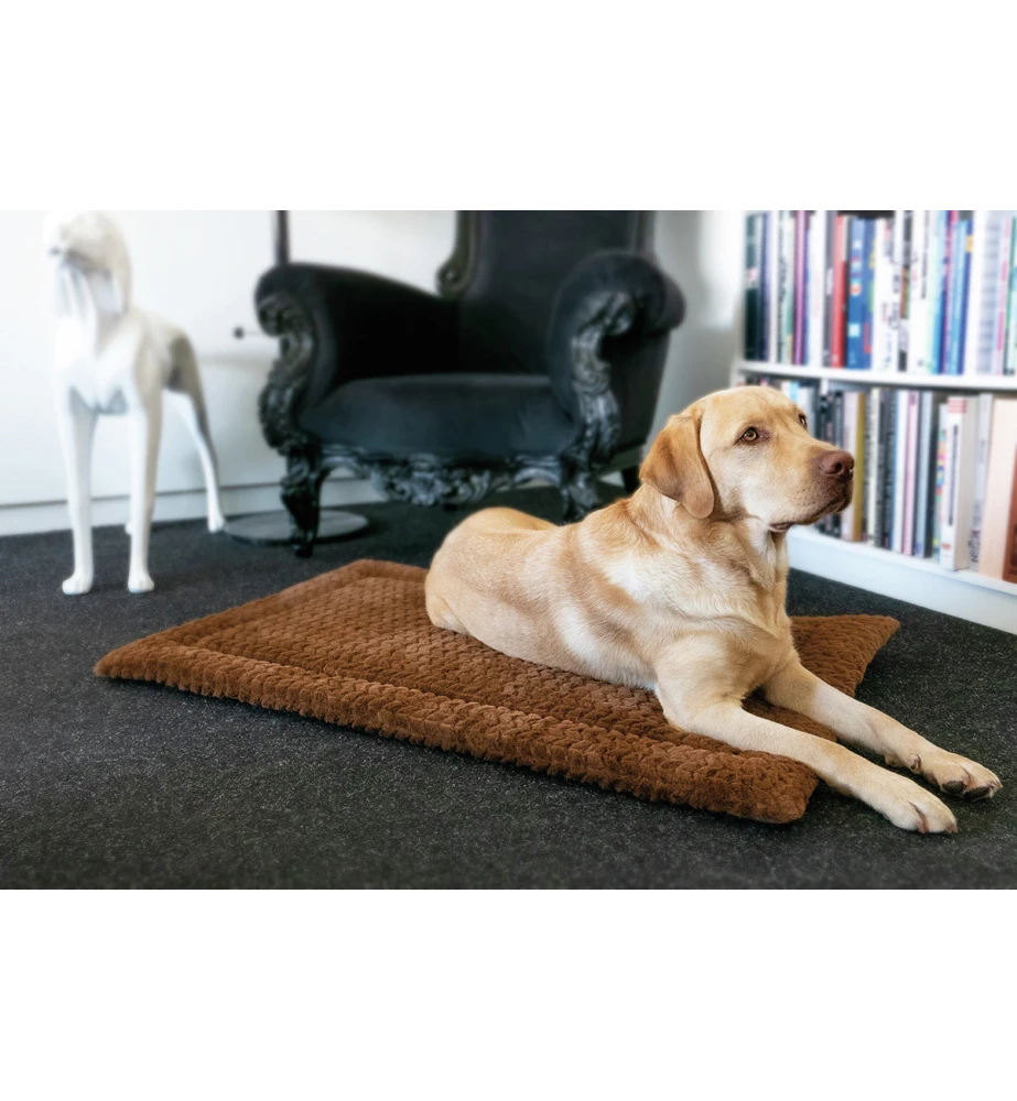 Petlando Deken Daisy Bruin 4 Petlando Deken Daisy Bruin - Afbeelding 2