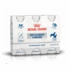 Royal Canin Recovery Liquid - 3 X 200 Ml 2 Royal Canin Recovery Liquid - 3 X 200 Ml -Dierenwinkel royal canin recovery liquid 3 x 200 ml