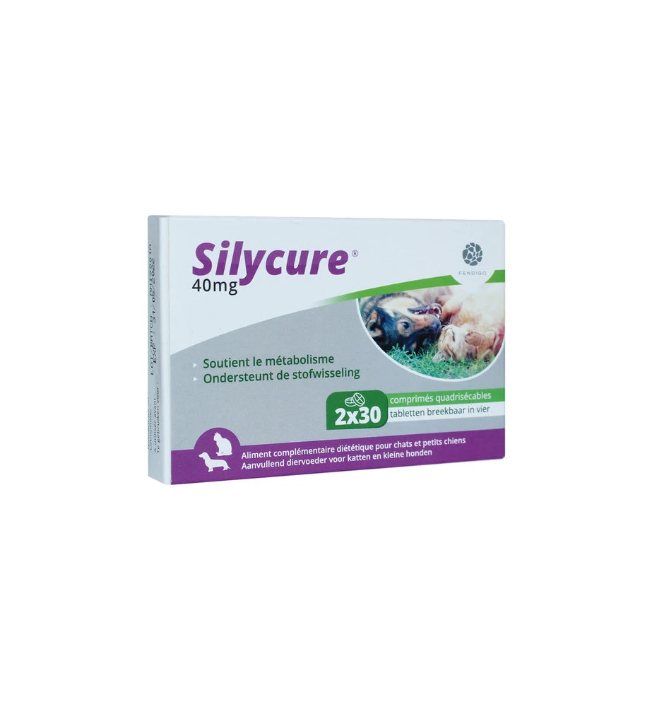 Silycure 40 Mg - 60 Tabletten 3 Silycure 40 Mg - 60 Tabletten